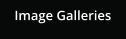Image Galleries